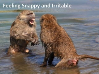 Feeling	
  Snappy	
  and	
  Irritable	
  
 