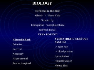 BIOLOGY Hormones & The Brain Glands  /  Nerve Cells Secreted by: Epinephrine  / norephinephrine (adrenal glands) VERY POTENT ! Adrenalin Rush Primitive Survival Necessary Hyper-arousal Real or imagined SYMPATHETIC NERVOUS SYSTEM + heart rate + blood pressure +perspiration +muscle tension +blood flow 