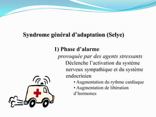 Syndrome général d’adaptation (Selye)

           1) Phase d’alarme
            provoquée par des agents stressants
               Déclenche l’activation du système
               nerveux sympathique et du système
               endocrinien
                  • Augmentation du rythme cardiaque
                  • Augmentation de libération
                  d’hormones
 