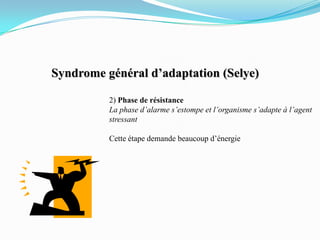 Syndrome général d’adaptation (Selye)

          2) Phase de résistance
          La phase d’alarme s’estompe et l’organisme s’adapte à l’agent
          stressant

          Cette étape demande beaucoup d’énergie
 