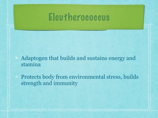 Eleutherococcus
Adaptogen that builds and sustains energy and
stamina
Protects body from environmental stress, builds
strength and immunity
 