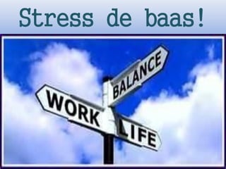 Stress de baas!
 