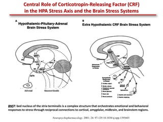 Chronic Stress & Depression 2019 | PPT