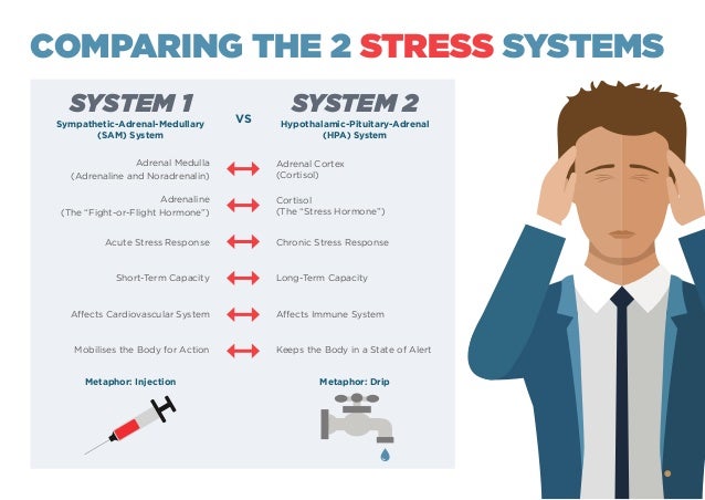 Measuring Stress In The Workplace At Last A Tool That