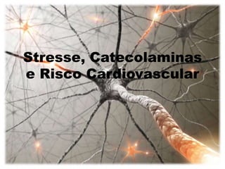 Stresse, Catecolaminas
e Risco Cardiovascular
 