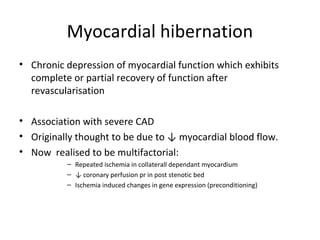 Myocardial hibernation
• Chronic depression of myocardial function which exhibits
complete or partial recovery of function after
revascularisation
• Association with severe CAD
• Originally thought to be due to ↓ myocardial blood flow.
• Now realised to be multifactorial:
– Repeated ischemia in collaterall dependant myocardium
– ↓ coronary perfusion pr in post stenotic bed
– Ischemia induced changes in gene expression (preconditioning)
 