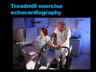 Treadmill exercise
echocardiography
 