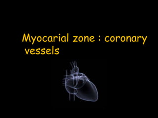 Myocarial zone : coronary
vessels
 