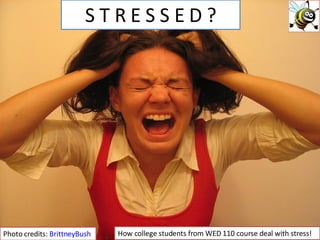 S T R E S S E D ? Photo credits:  BrittneyBush How college students from WED 110 course deal with stress! 