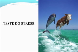 TESTE DO STRESS
 