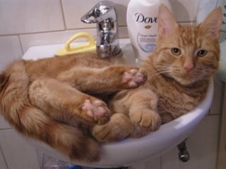 Stresser c'est quoi pp