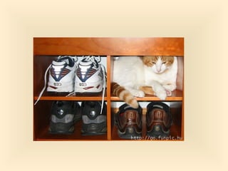 Stresser c'est quoi pp