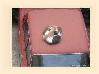 Stresser c'est quoi pp