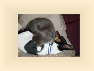 Stresser c'est quoi pp