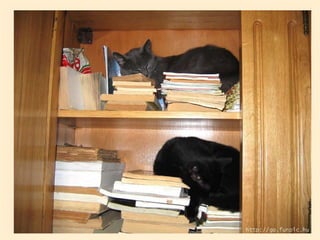 Stresser c'est quoi pp