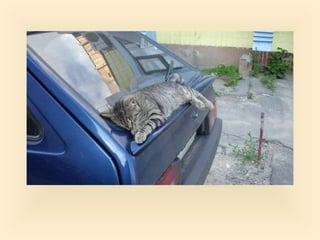 Stresser c'est quoi pp