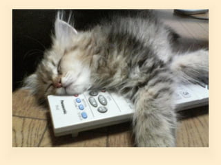 Stresser c'est quoi pp