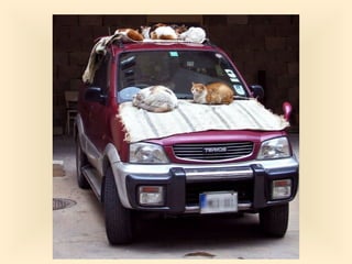 Stresser c'est quoi pp