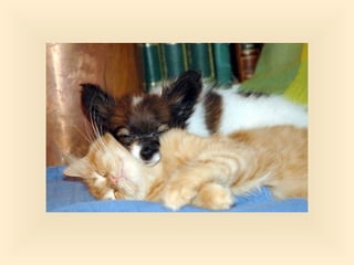 Stresser c'est quoi pp