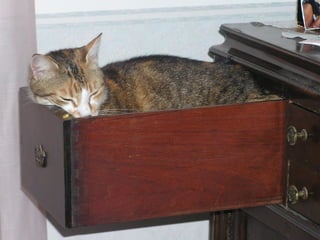 Stresser c'est quoi pp