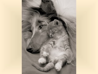 Stresser c'est quoi pp