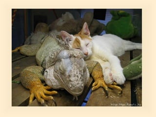 Stresser c'est quoi pp