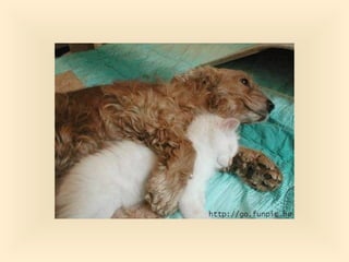 Stresser c'est quoi pp