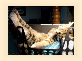 Stresser c'est quoi pp