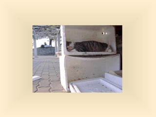 Stresser c'est quoi pp