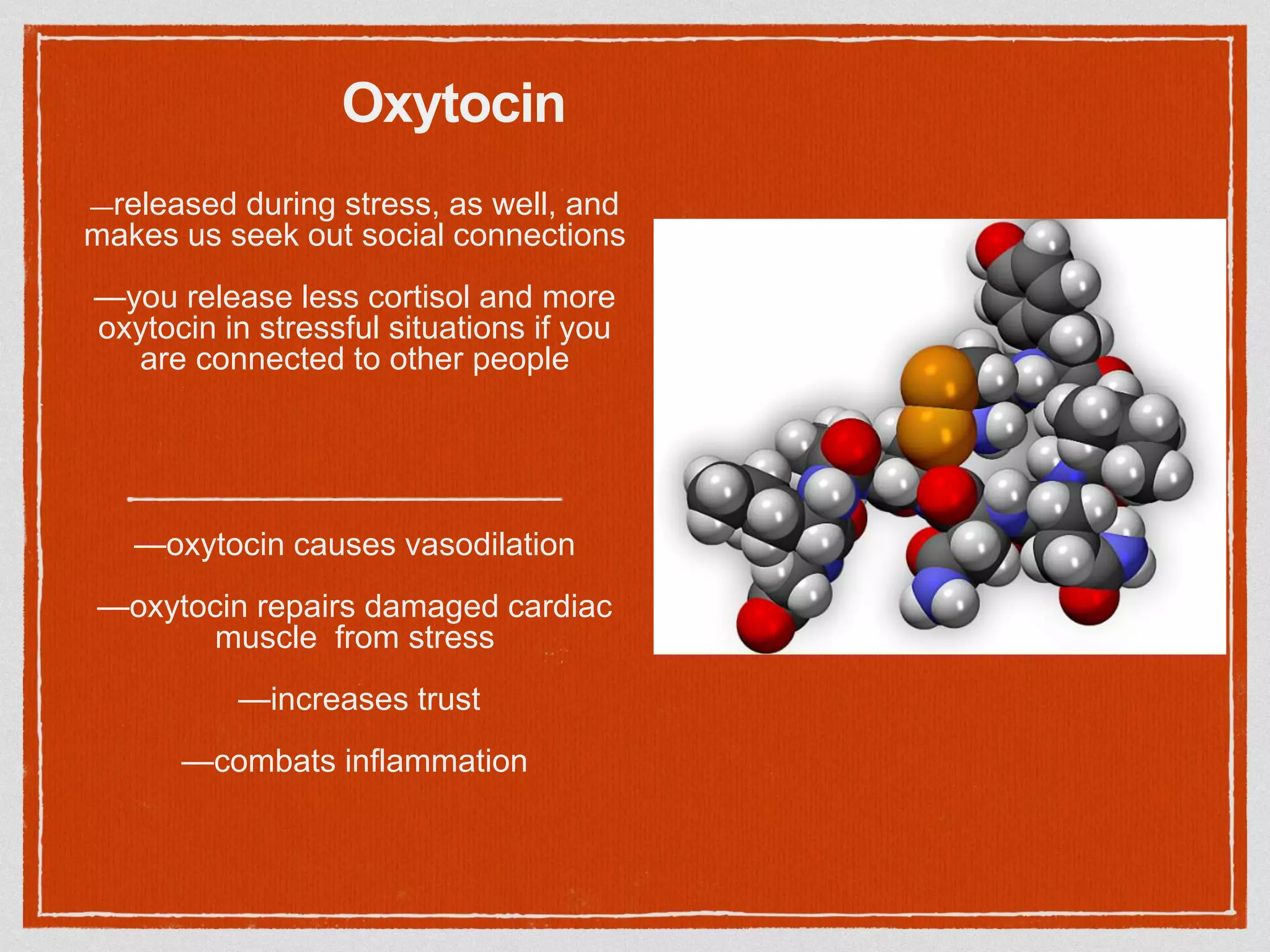 The Intimate Alchemy: How Oral Sex Triggers Oxytocin and Cultivates a Sanctuary from Stress