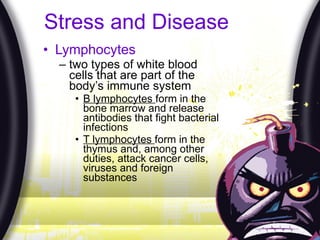 Stress and Disease Lymphocytes two types of white blood cells that are part of the body’s immune system B lymphocytes  form in the bone marrow and release antibodies that fight bacterial infections T lymphocytes  form in the thymus and, among other duties, attack cancer cells, viruses and foreign substances 