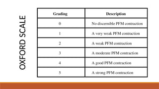 Stress Incontinence MANAGEMENT IN PHYSIOTHERAPY | PPTX