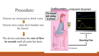 Stress Incontinence MANAGEMENT IN PHYSIOTHERAPY | PPTX