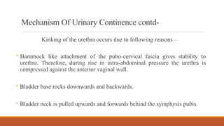 Positional Incontinance Stress Incontinence MANAGEMENT IN PHYSIOTHERAPY | PPTX