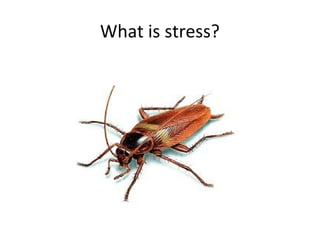 What is stress?
 