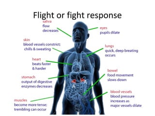 Flight or fight response
 