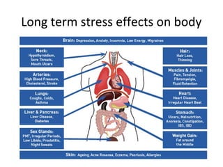 Long term stress effects on body
 