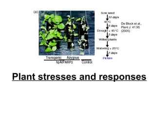 Plant stresses and responses
De Block et al.,
Plant J. 41:95
(2005)
 