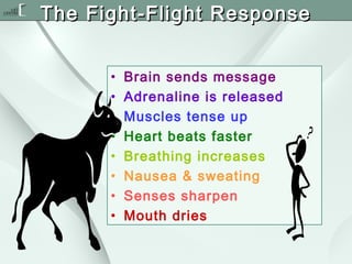 The Fight-Flight Response
•
•
•
•
•
•
•
•

Brain sends message
Adrenaline is released
Muscles tense up
Heart beats faster
Breathing increases
Nausea & sweating
Senses sharpen
Mouth dries

 