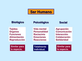 Ser Humano Biológico Psicológico Social Tejidos Organos Funciones Alimentación Reproducción Vida mental Personalidad Racio...