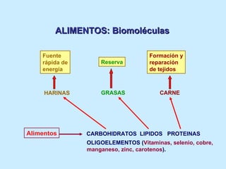 ALIMENTOS: Biomoléculas CARBOHIDRATOS  LIPIDOS  PROTEINAS Alimentos HARINAS Fuente  rápida de energía CARNE Formación y re...