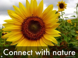 Created with Haiku Deck