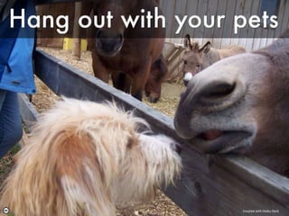 Created with Haiku Deck