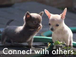 Photo by cuatrok77 - Creative Commons Attribution License http://www.flickr.com/photos/69573851@N06 Created with Haiku Deck