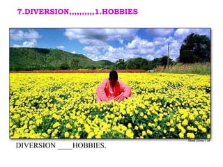 DIVERSION ____HOBBIES. 7.DIVERSION,,,,,,,,,,1.HOBBIES 