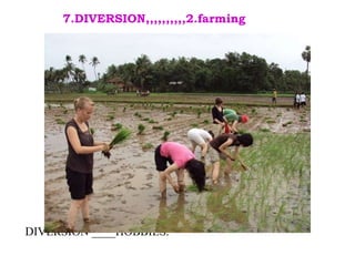 DIVERSION ____HOBBIES. 7.DIVERSION,,,,,,,,,,2.farming . 