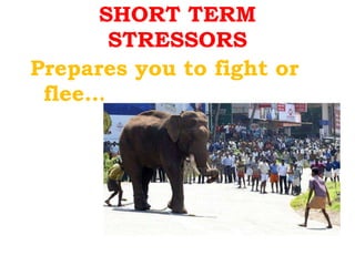 SHORT TERM STRESSORS Prepares you to fight or flee…… 