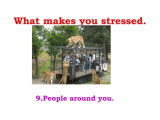 What makes you stressed. 9.People around you. 