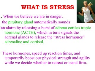 WHAT IS STRESS .   When we believe we are in danger, the  pituitary gland  automatically sounds  an alarm by releasing a burst of  adreno cortico tropic hormone (ACTH),  which in turn signals the adrenal glands to release the “stress hormones”  adrenaline and cortisol. These hormones, speed up reaction times, and temporarily boost our physical strength and agility while we decide whether to retreat or stand firm.   
