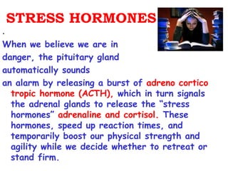 STRESS HORMONES
.
When we believe we are in
danger, the pituitary gland
automatically sounds
an alarm by releasing a burst of adreno cortico
  tropic hormone (ACTH), which in turn signals
  the adrenal glands to release the “stress
  hormones” adrenaline and cortisol. These
  hormones, speed up reaction times, and
  temporarily boost our physical strength and
  agility while we decide whether to retreat or
  stand firm.
 